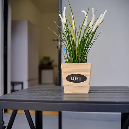 Ii - Loft Apartment Leba